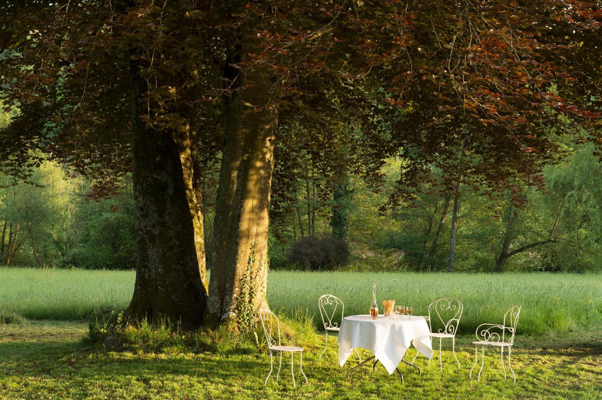 Colmey Chateau De Martigny Bed & Breakfast エクステリア 写真