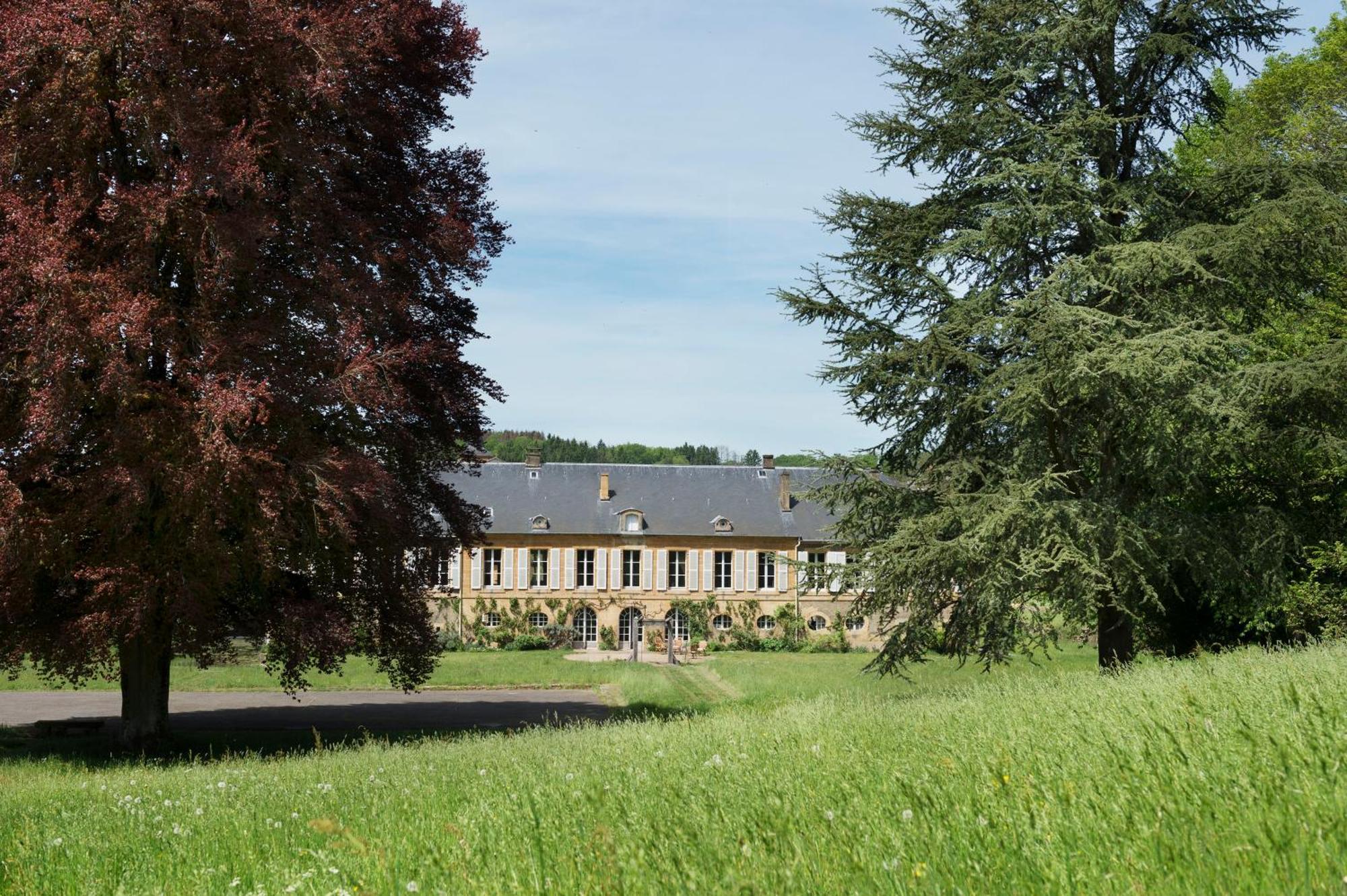 Chateau De Martigny Colmey エクステリア 写真