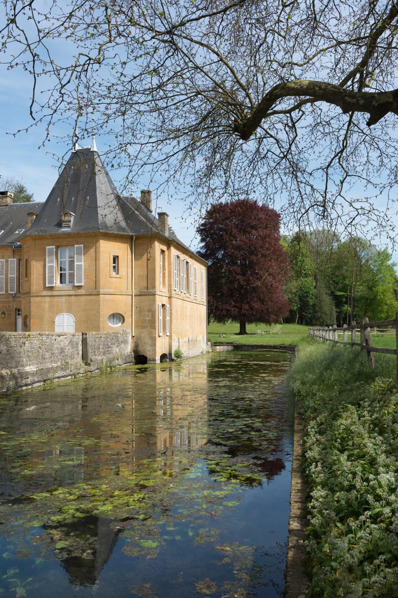 Chateau De Martigny Colmey エクステリア 写真